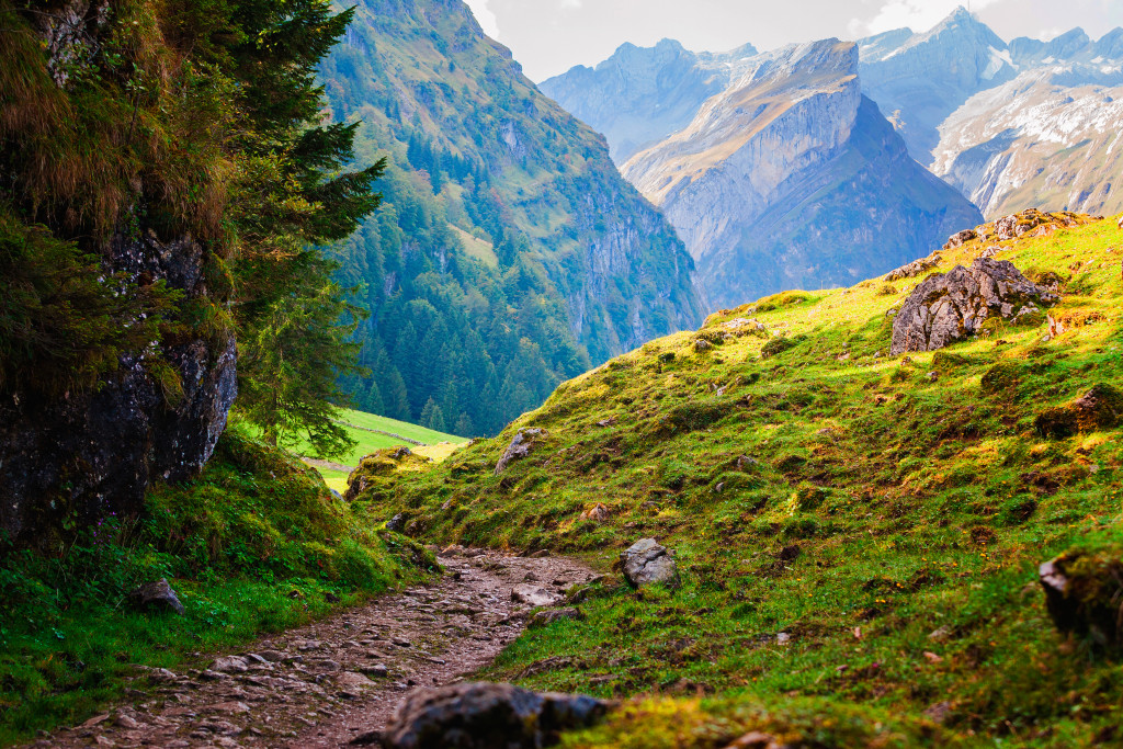 Nicole Priest Photography-Untampered and Untraveled