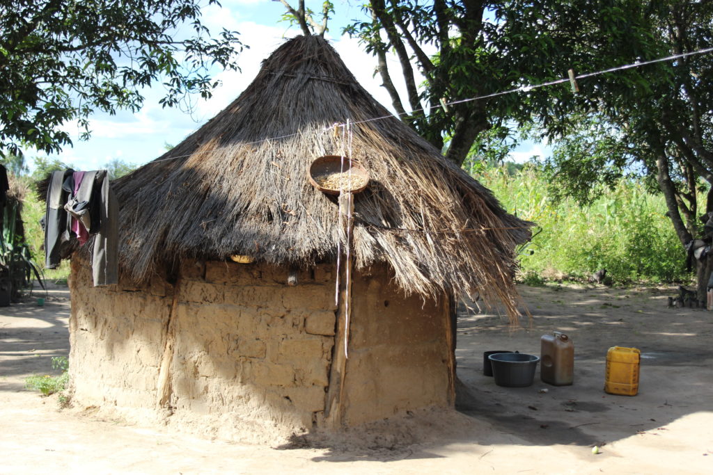 Photo courtesy of Shannon Hoffmann