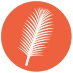 ash-wednesday-palm-leaf