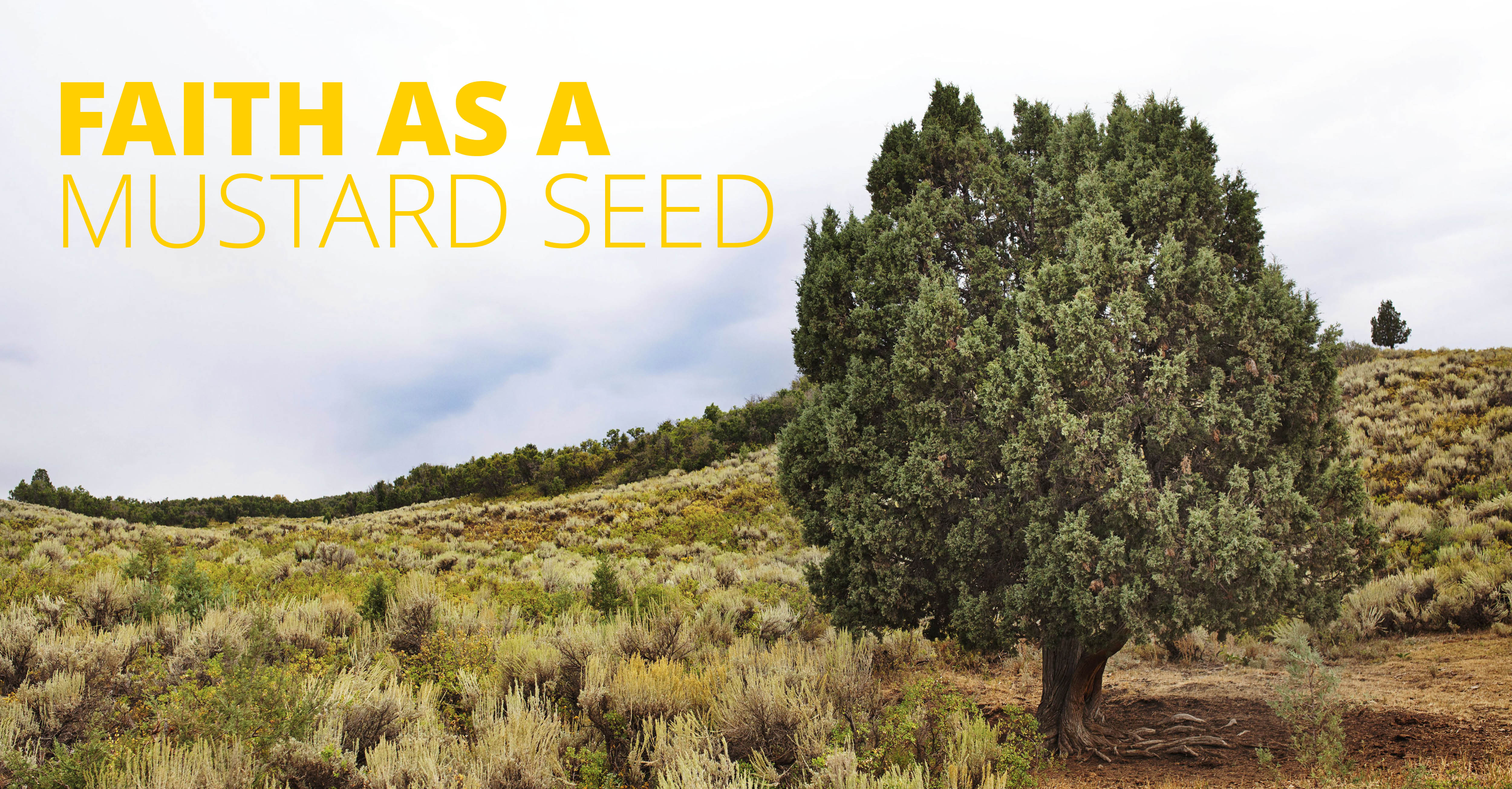 Faith As a Mustard Seed