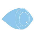 5 ways to find truth - look at the results